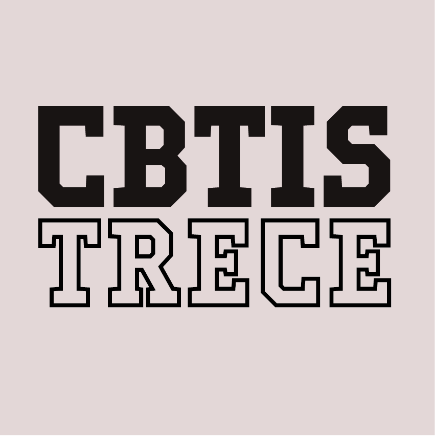 DISEÑO CBTIS TRECE